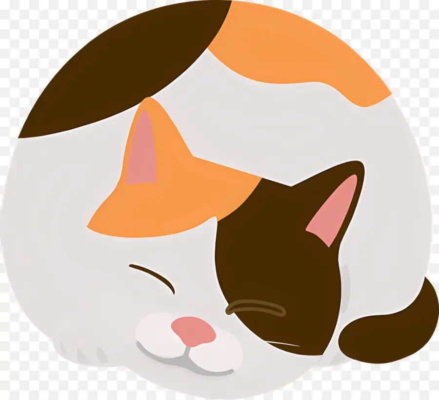 Chat De Dessin Animé，Manteau Orange Et Blanc PNG