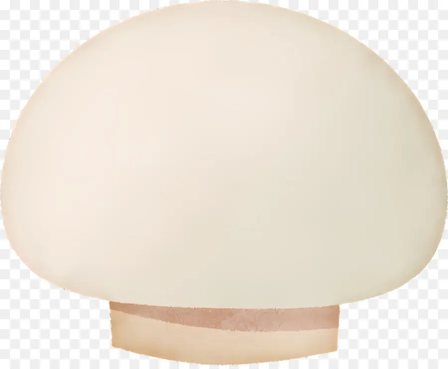 Champignons，Blanc De Champignon PNG