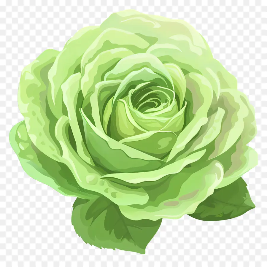 Rose Verte，Pétales Blancs PNG