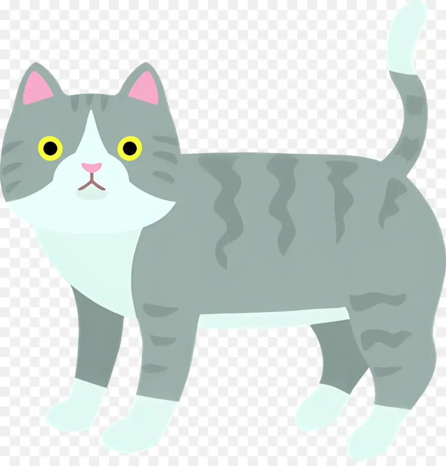 Chat De Dessin Animé，Chat Gris Et Blanc PNG