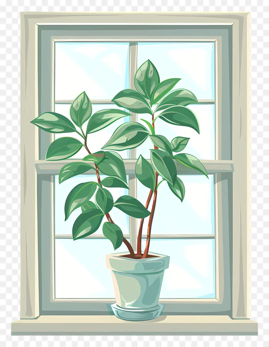 Fenêtre，Plante En Pot PNG