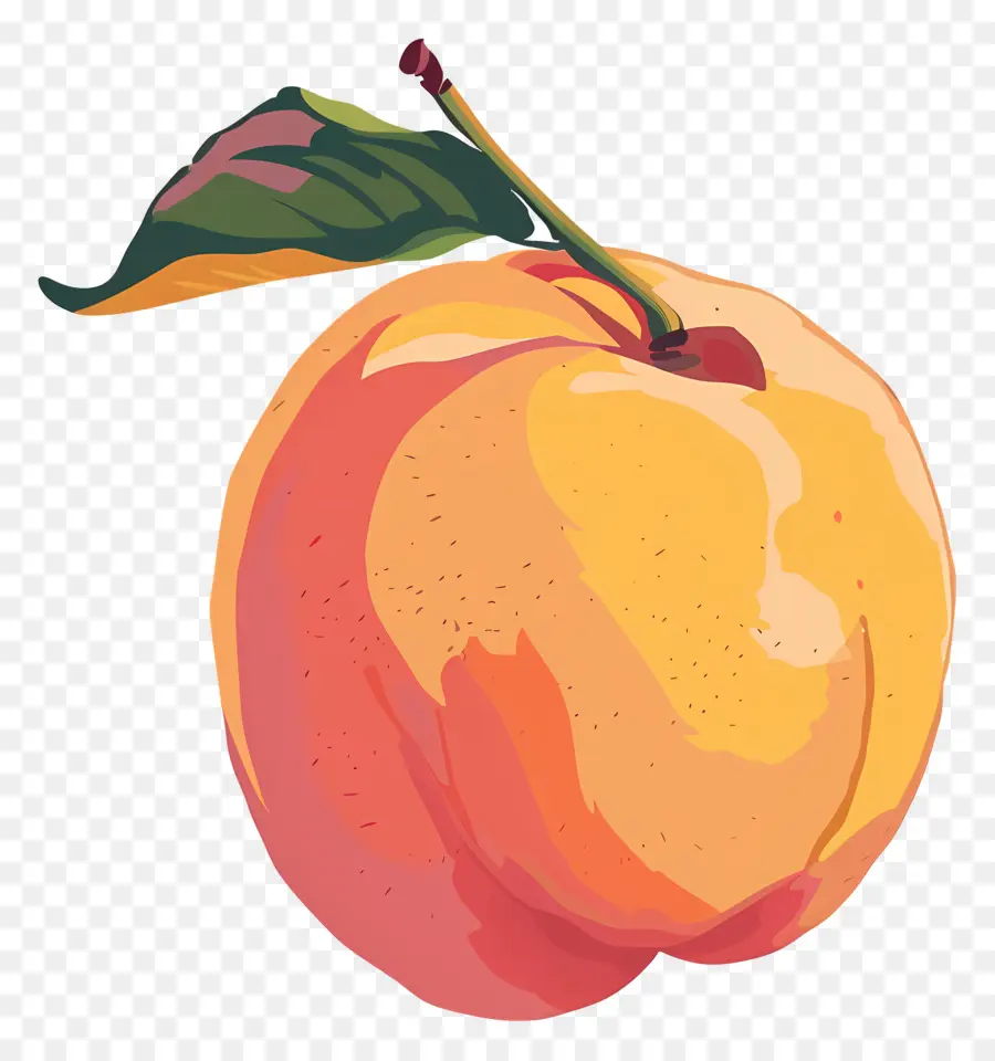 Nectarine，Fruits Orange PNG