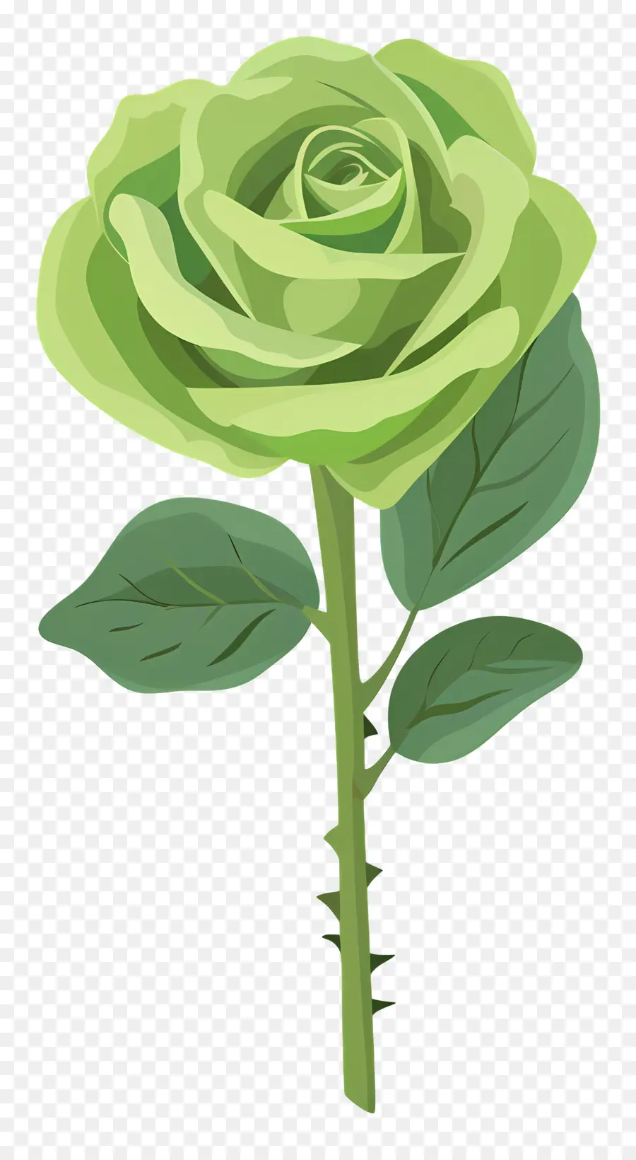 Rose Verte，Rose PNG