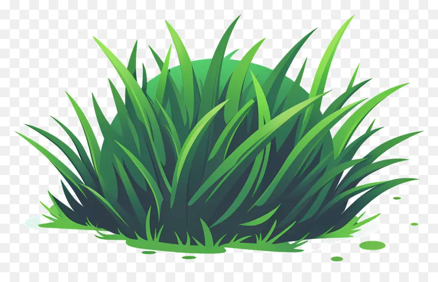 L'herbe Patch，Le Vert De L'herbe PNG