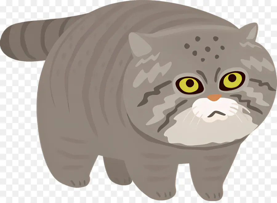 Chat De Dessin Animé，Gris Chat PNG