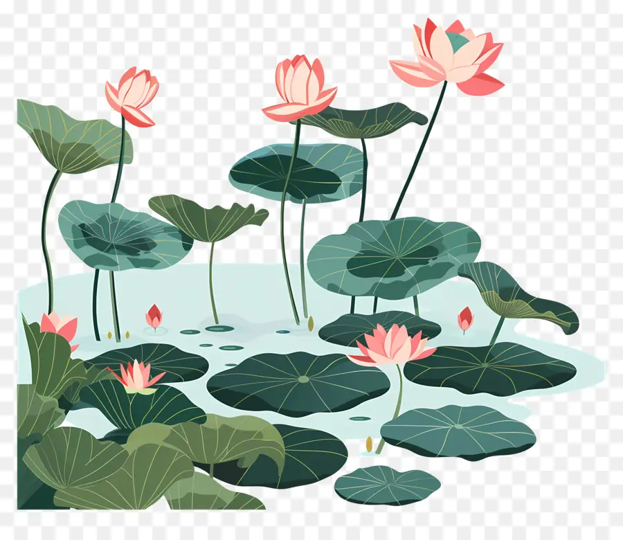 étang De Lotus，Des Fleurs De Lotus PNG