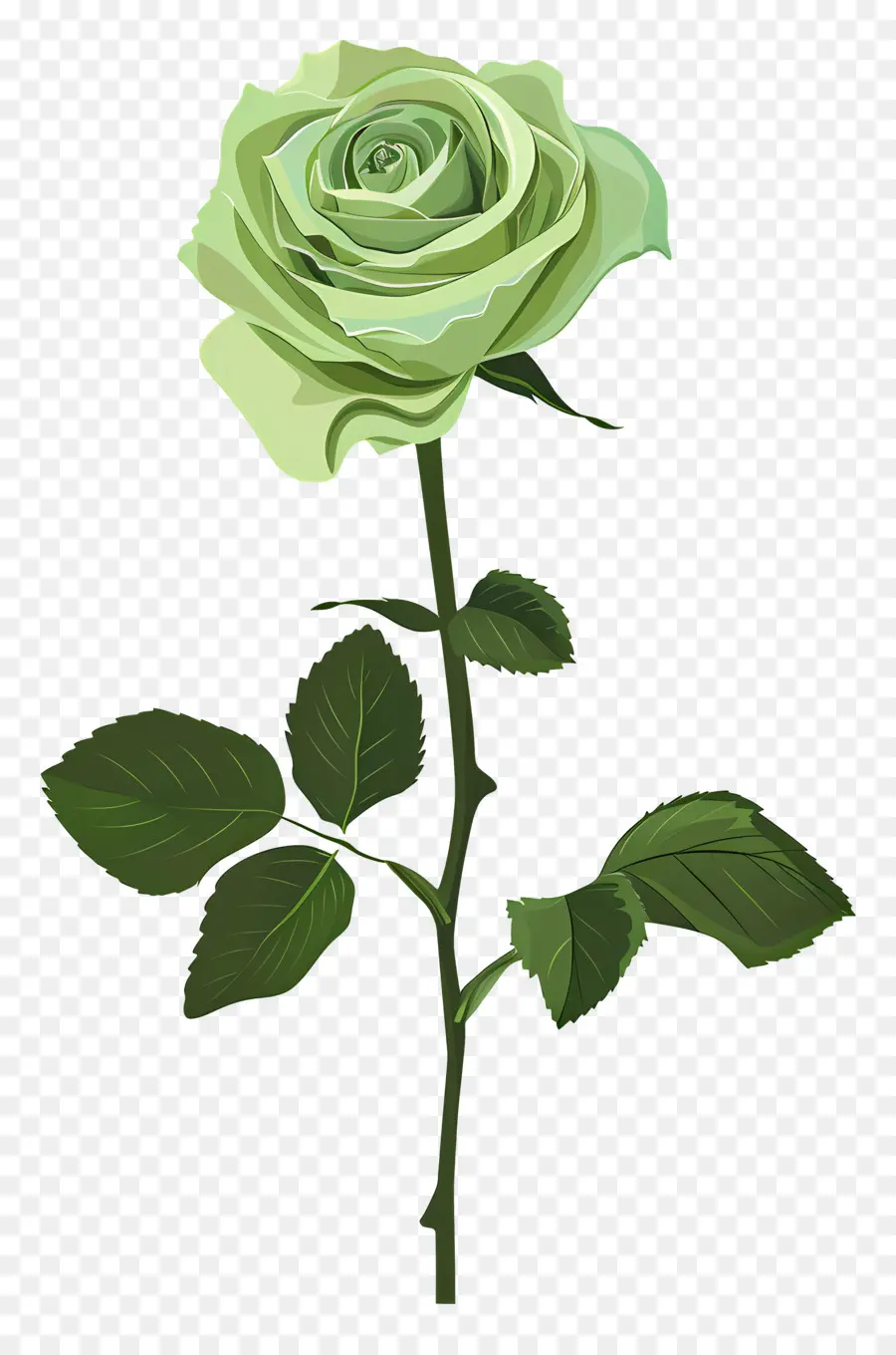 Rose Verte，Fond Sombre PNG