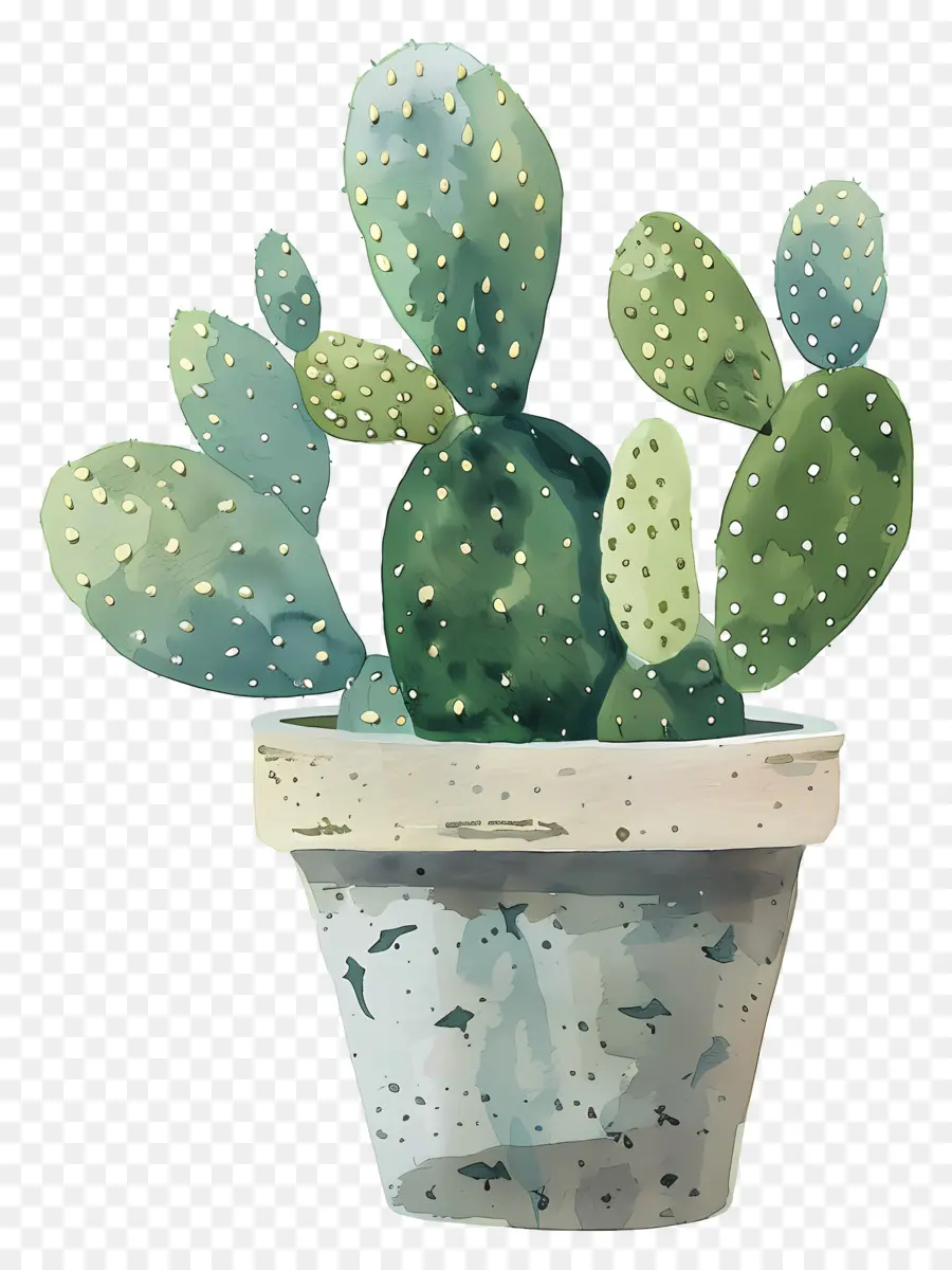 Cactus Succulent，Illustration Aquarelle PNG