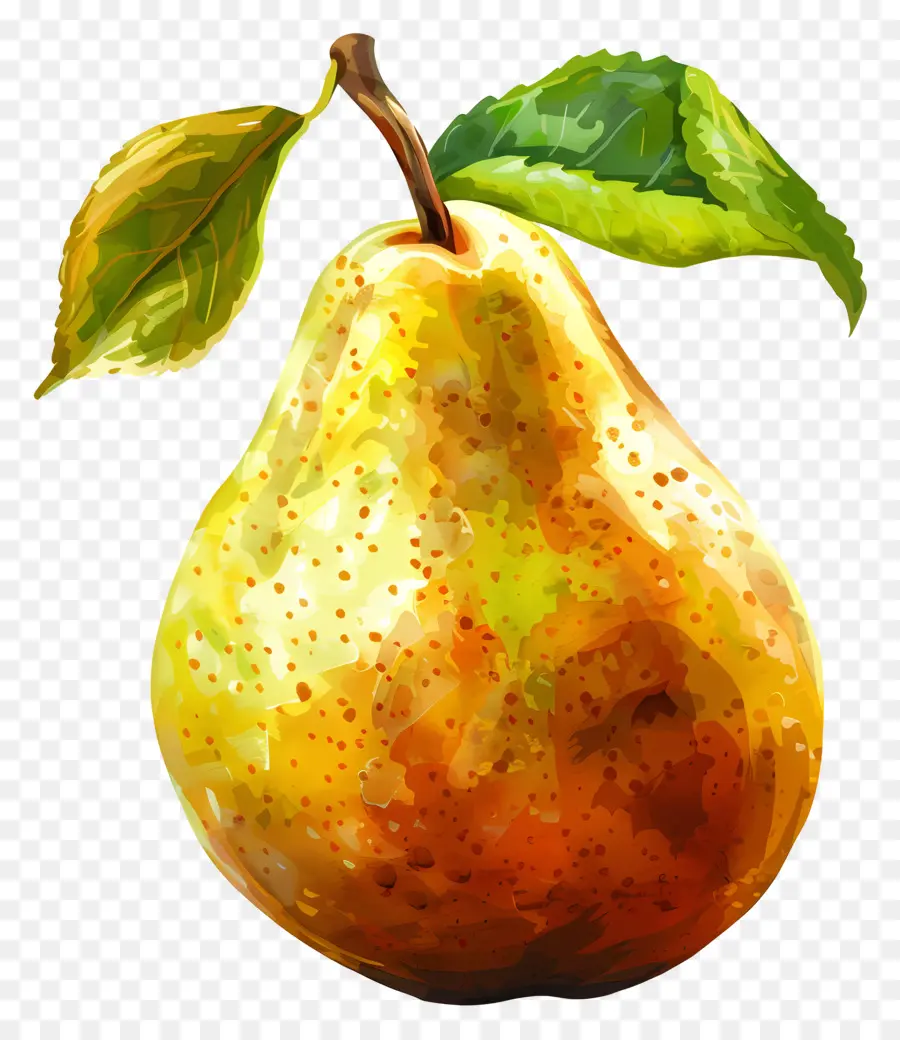 Poire，Poire Mûre PNG