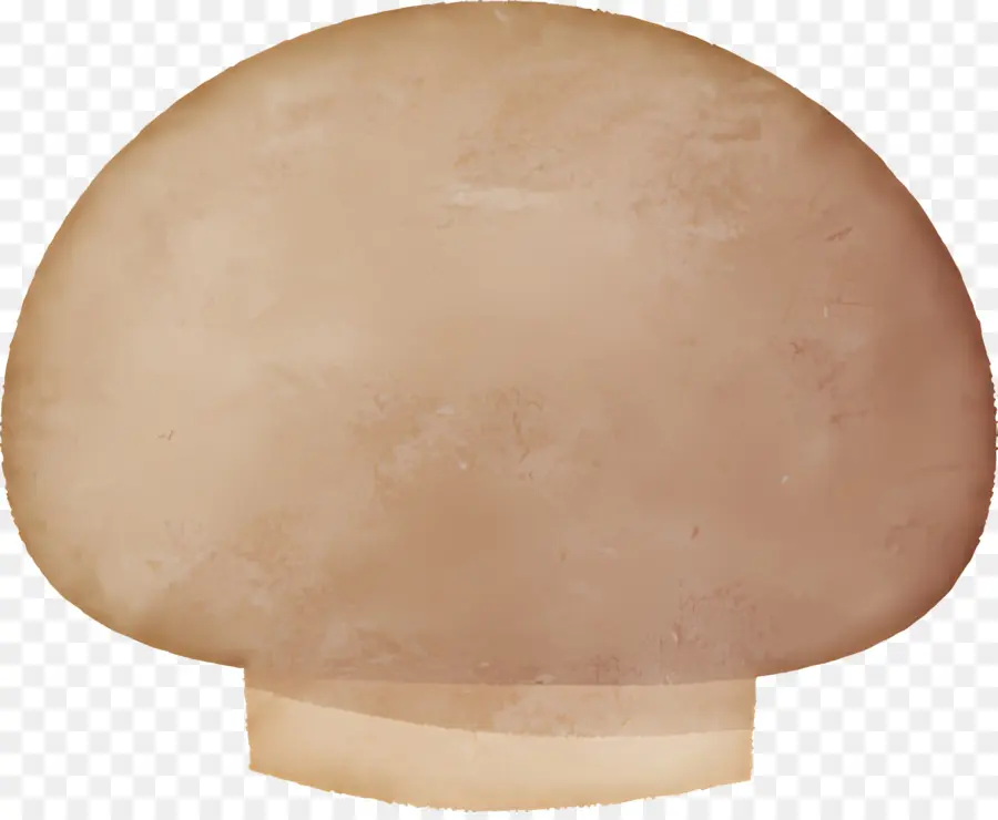 Champignons，Sphère PNG