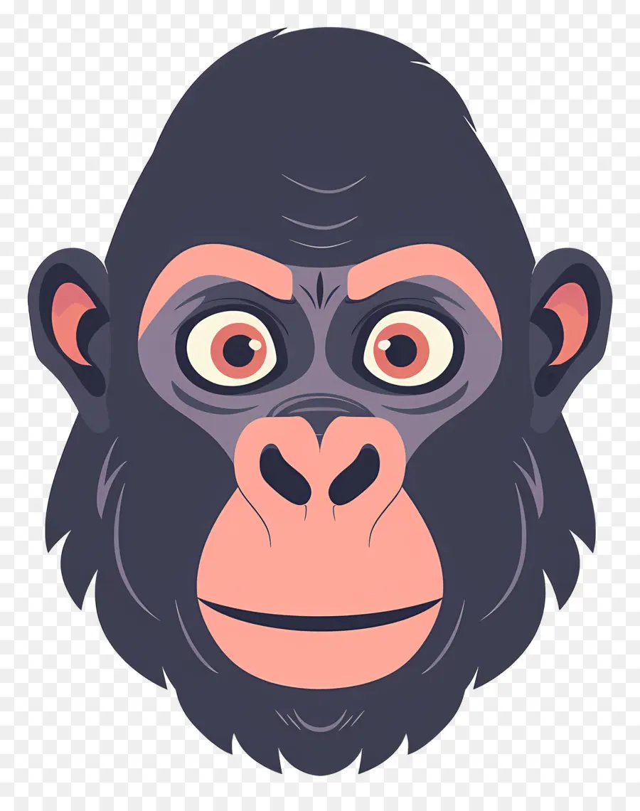 Visage De Gorille Mignon，Singe PNG