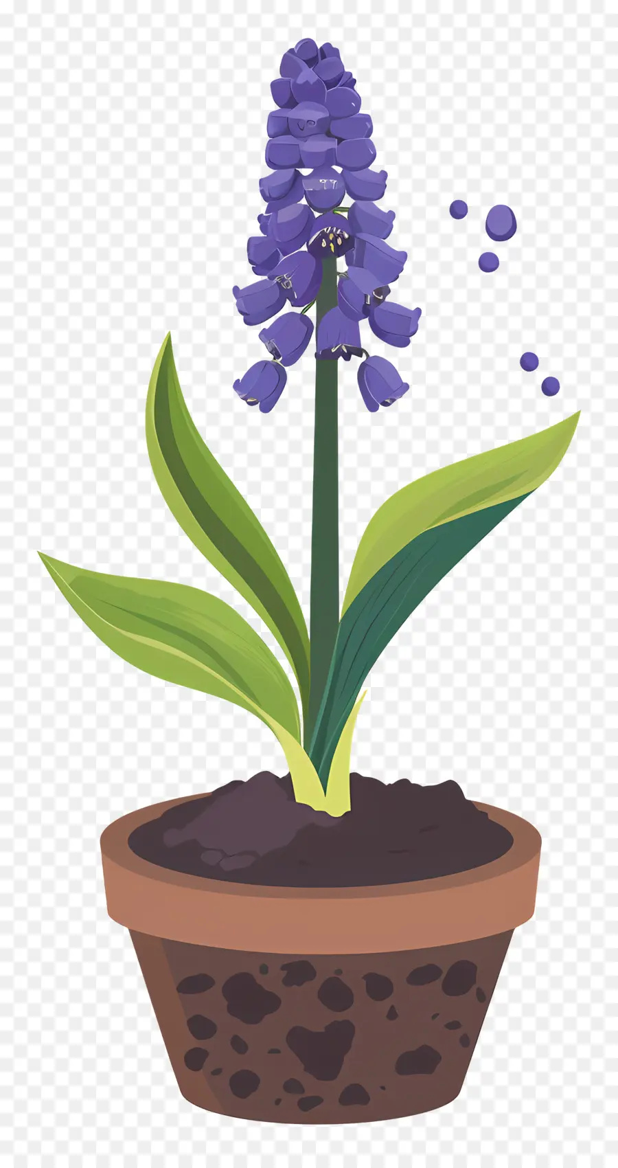 De Raisin De La Jacinthe，Hymne Bleu PNG