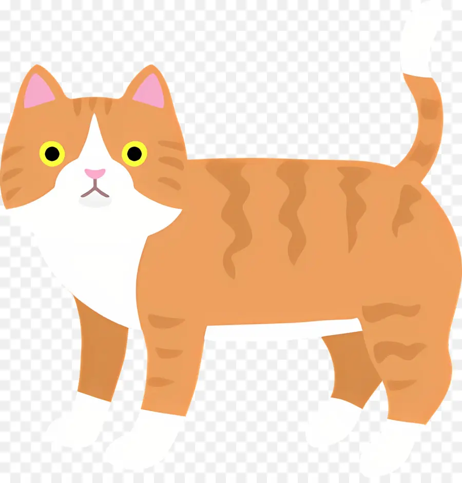 Chat De Dessin Animé，Chat PNG