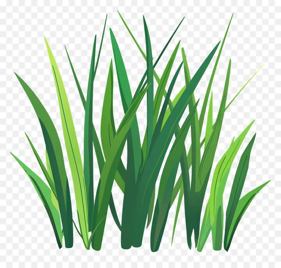 L'herbe Haute，L'herbe PNG