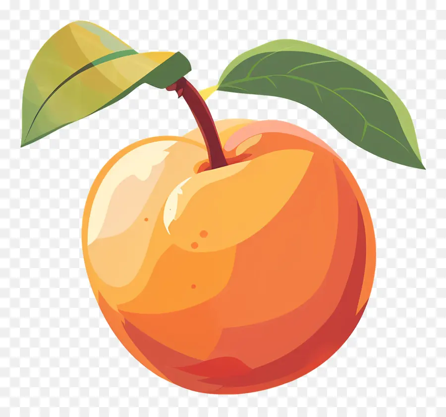 Nectarine，Orange PNG