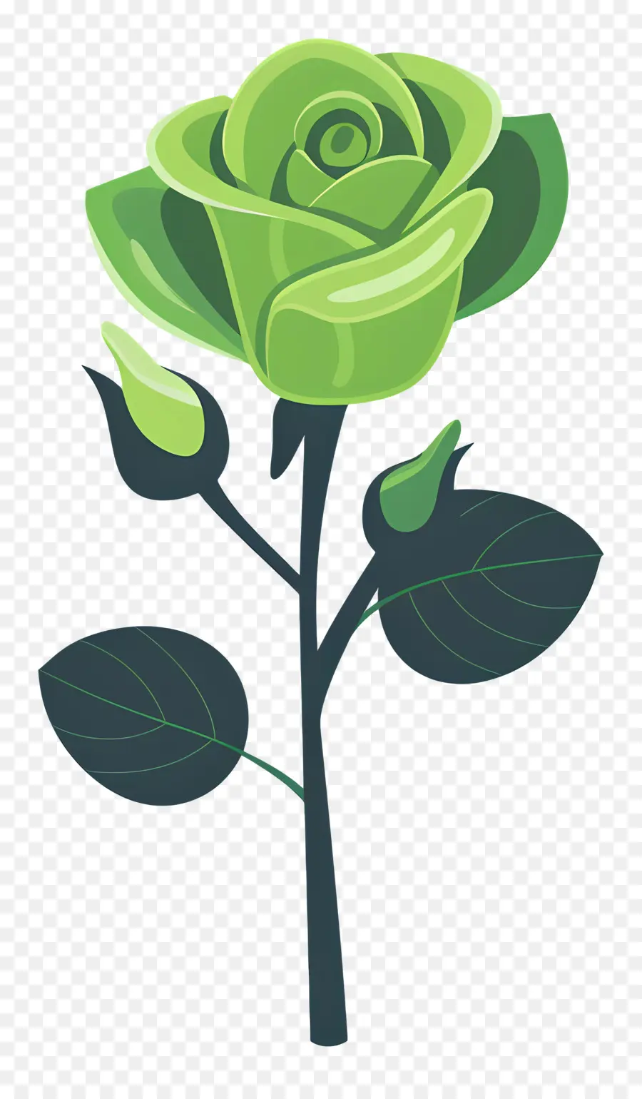 Rose Verte，Fleur PNG