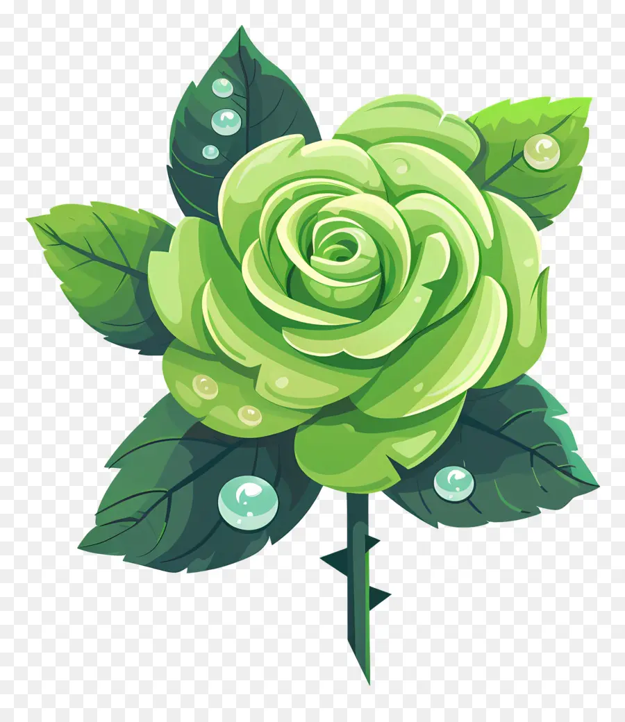 Rose Verte，Des Gouttelettes D'eau PNG