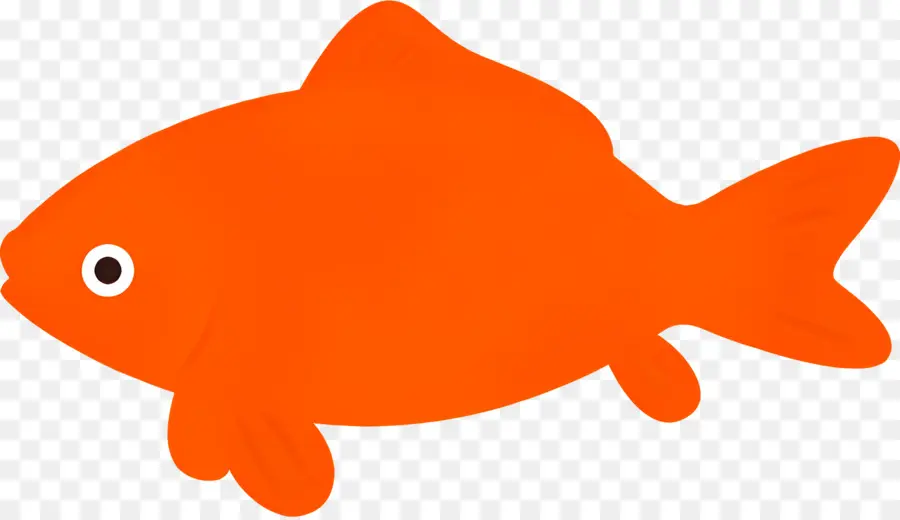 Poisson Rouge，Orange Poisson PNG