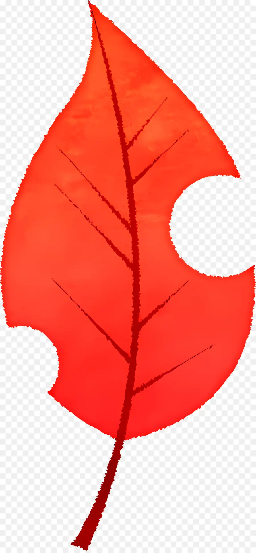 Feuilles D'automne，Feuille Rouge PNG