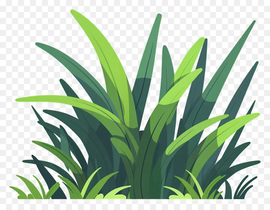 L'herbe Patch，Grandes Plantes PNG