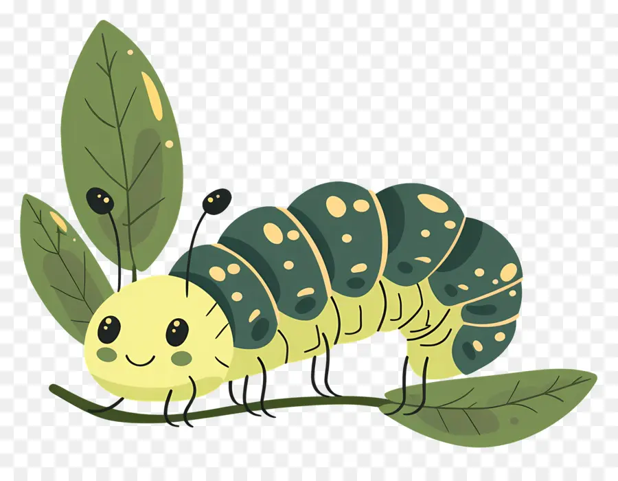 Caterpillar，Mignon Caterpillar PNG