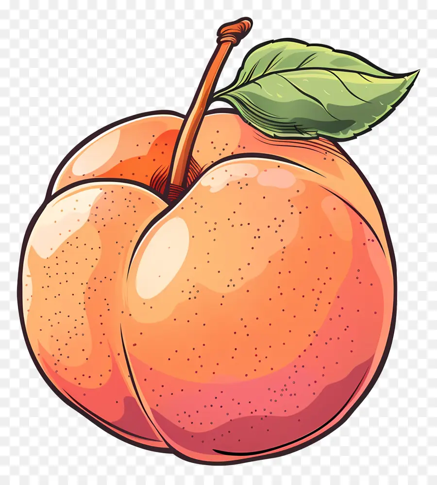 Nectarine，Orange PNG