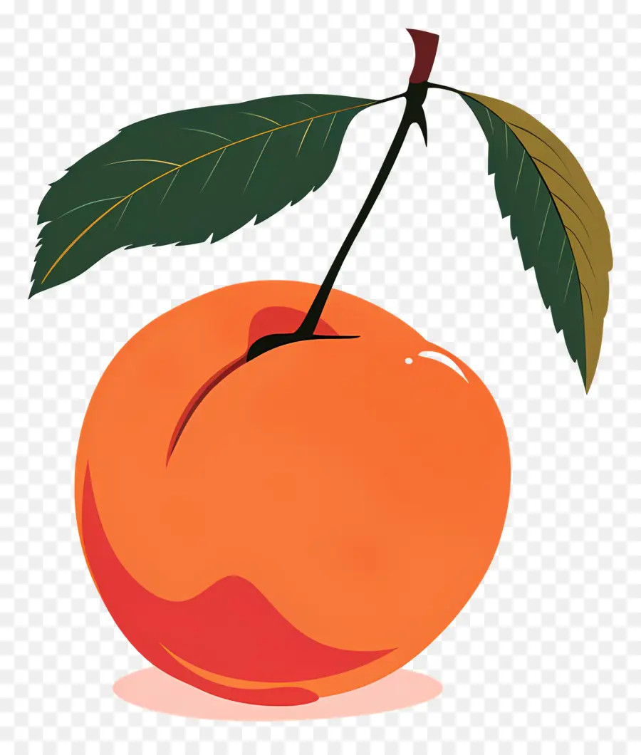 Nectarine，Pêche PNG