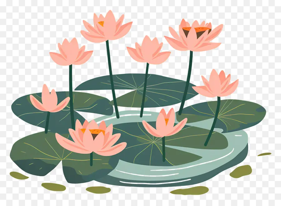 étang De Lotus，Fleur De Lotus PNG