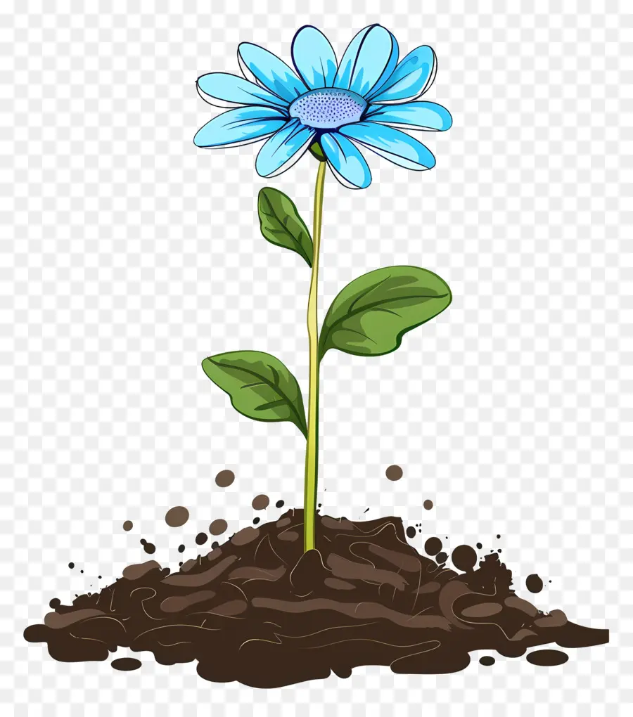 Fleur Bleue，Sol PNG