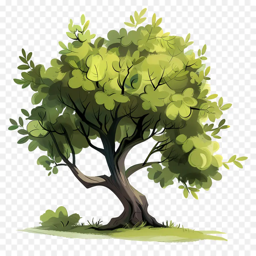 Arbre，Usine PNG