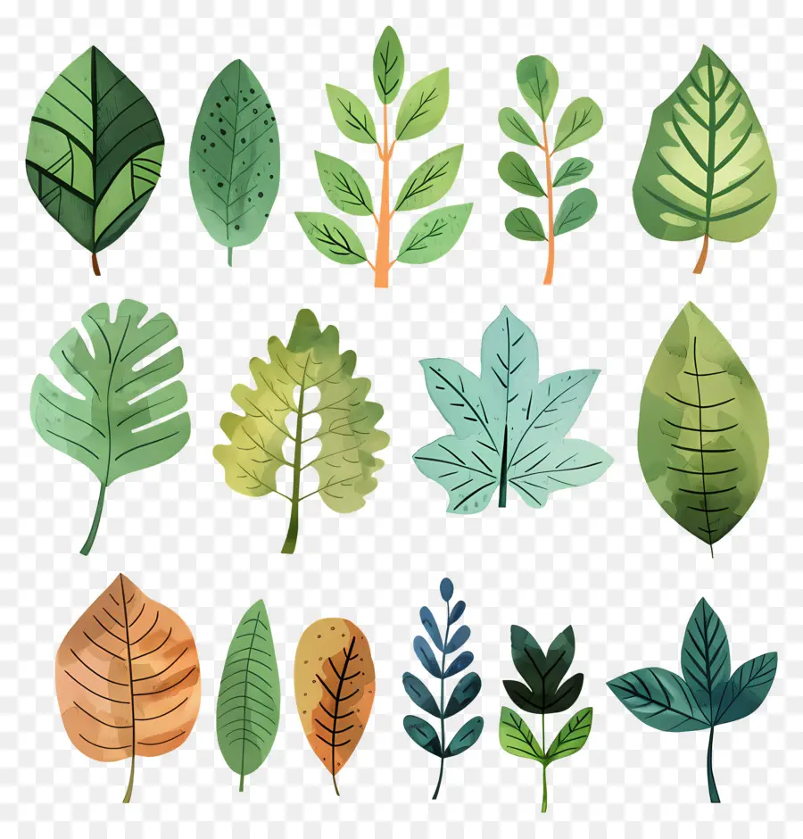 Feuille，Aquarelle Feuilles PNG