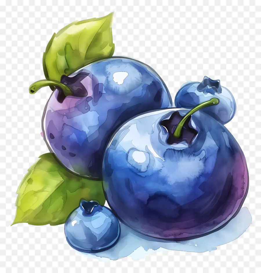 Bleuets，Les Bleuets PNG