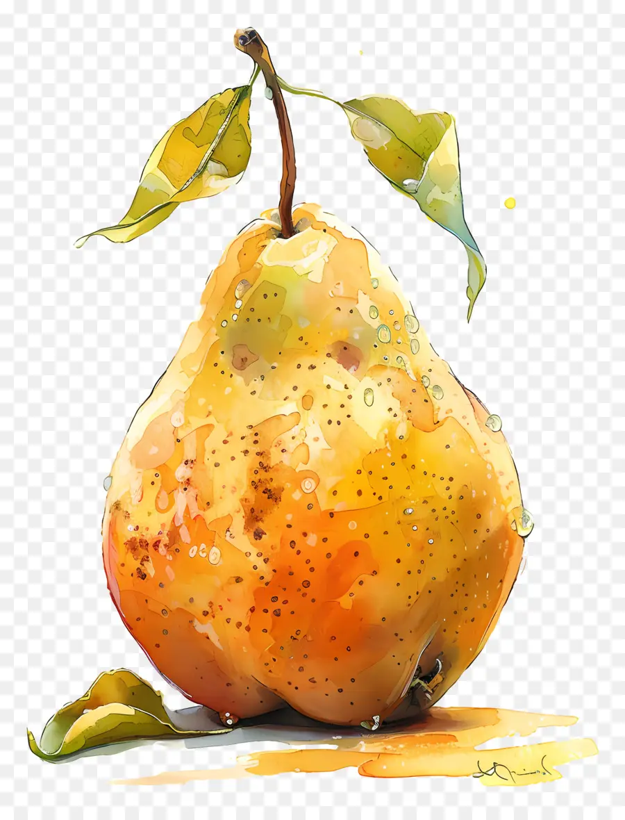 Poire，Peinture à L'aquarelle PNG