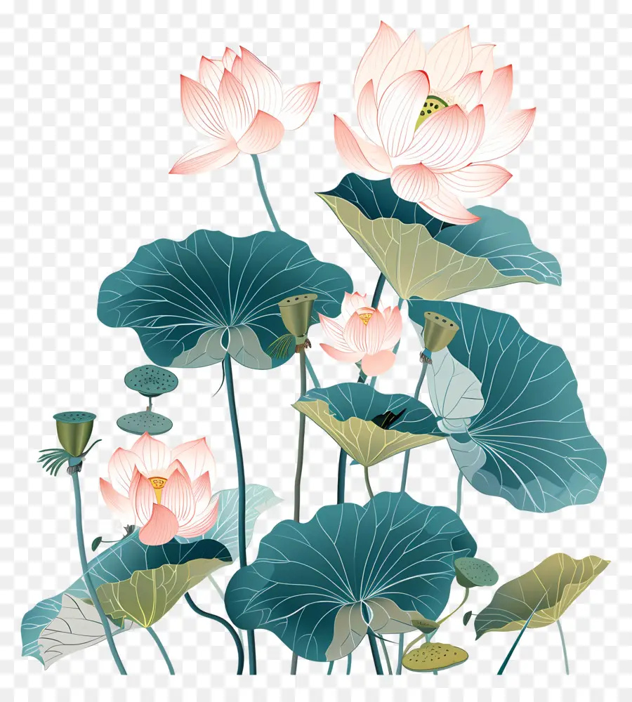 Des Fleurs De Lotus，La Peinture Chinoise PNG