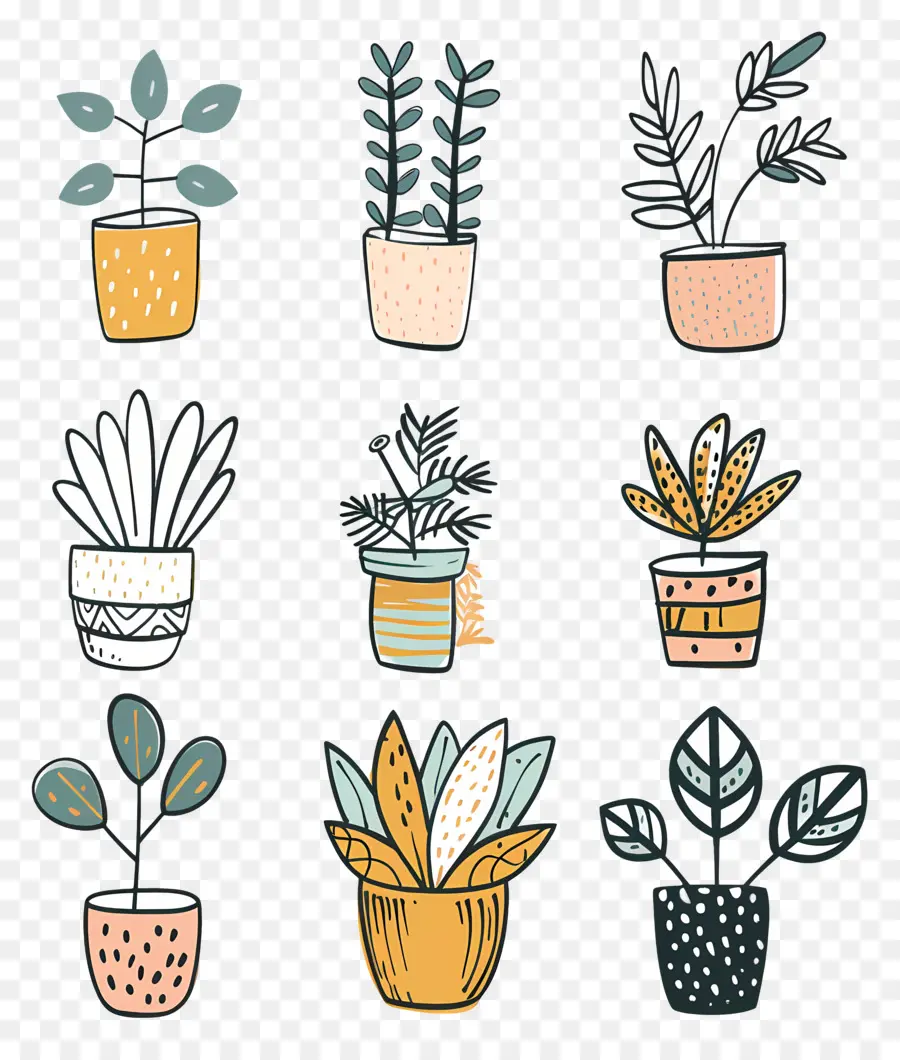 Plantes D'intérieur En Pots，Plantes En Pot PNG