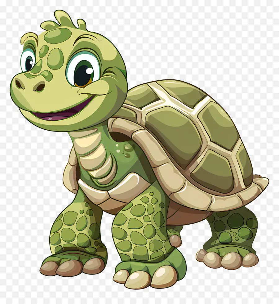 Tortue，Tortue Verte PNG