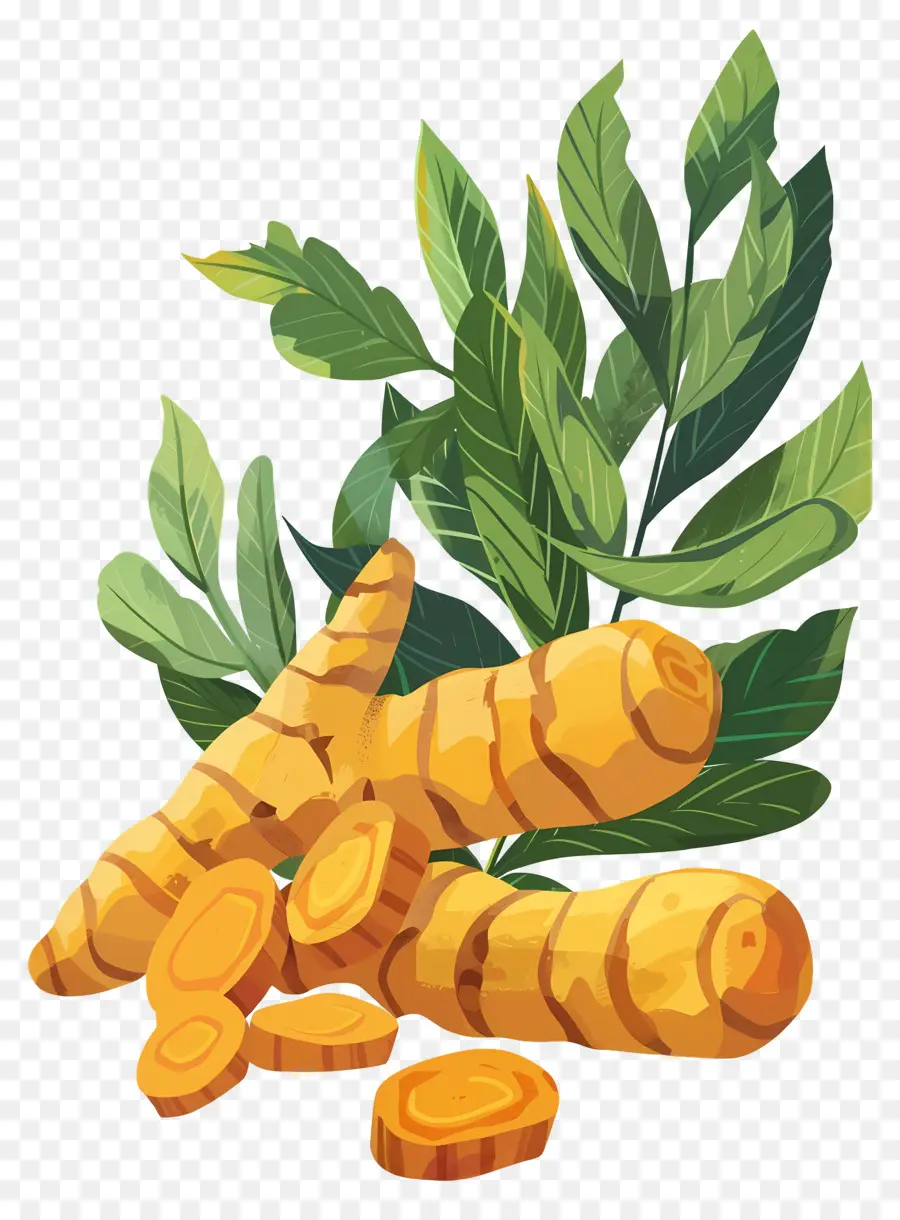 Le Curcuma，Légume Racine PNG