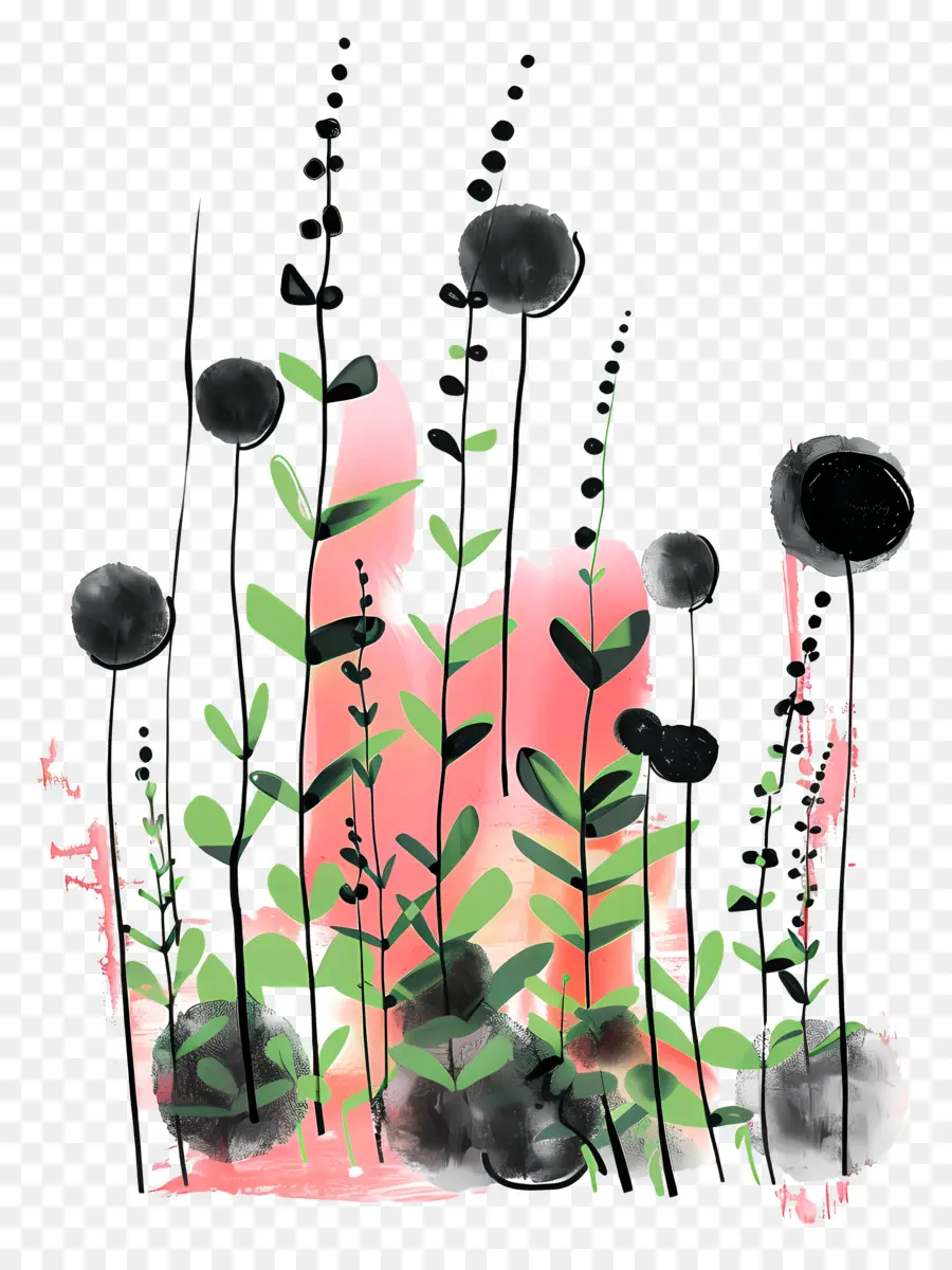 Faire Pousser Des Pousses，Fleurs Noires PNG