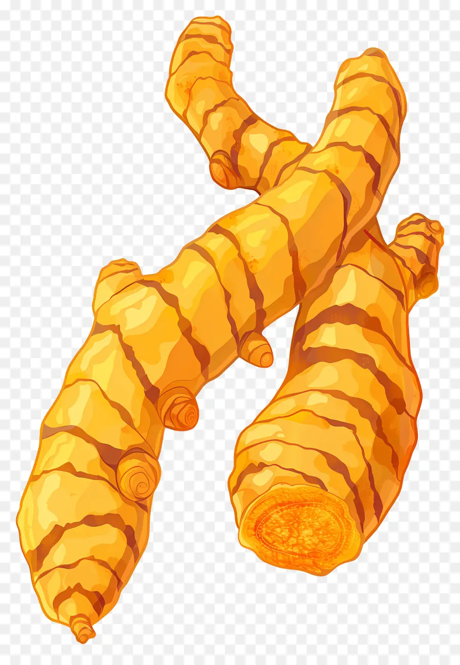 Curcuma，Racine PNG