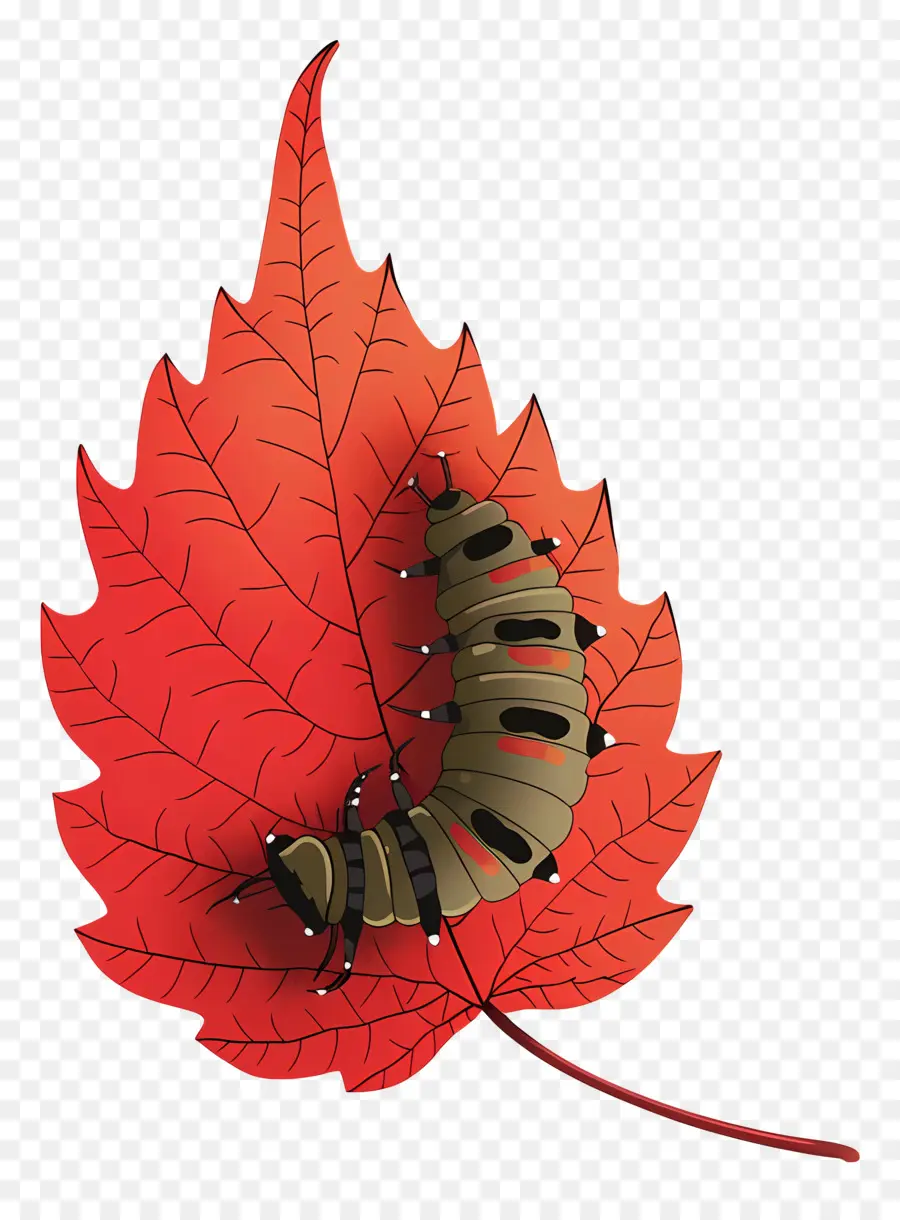 Caterpillar，Feuille D'érable Rouge PNG