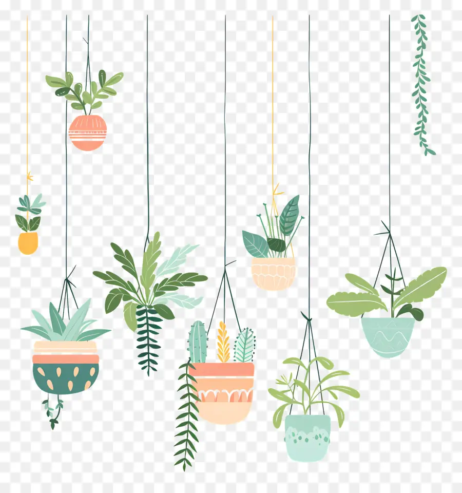 Plantes D'intérieur Suspendues，Plantes Suspendues PNG