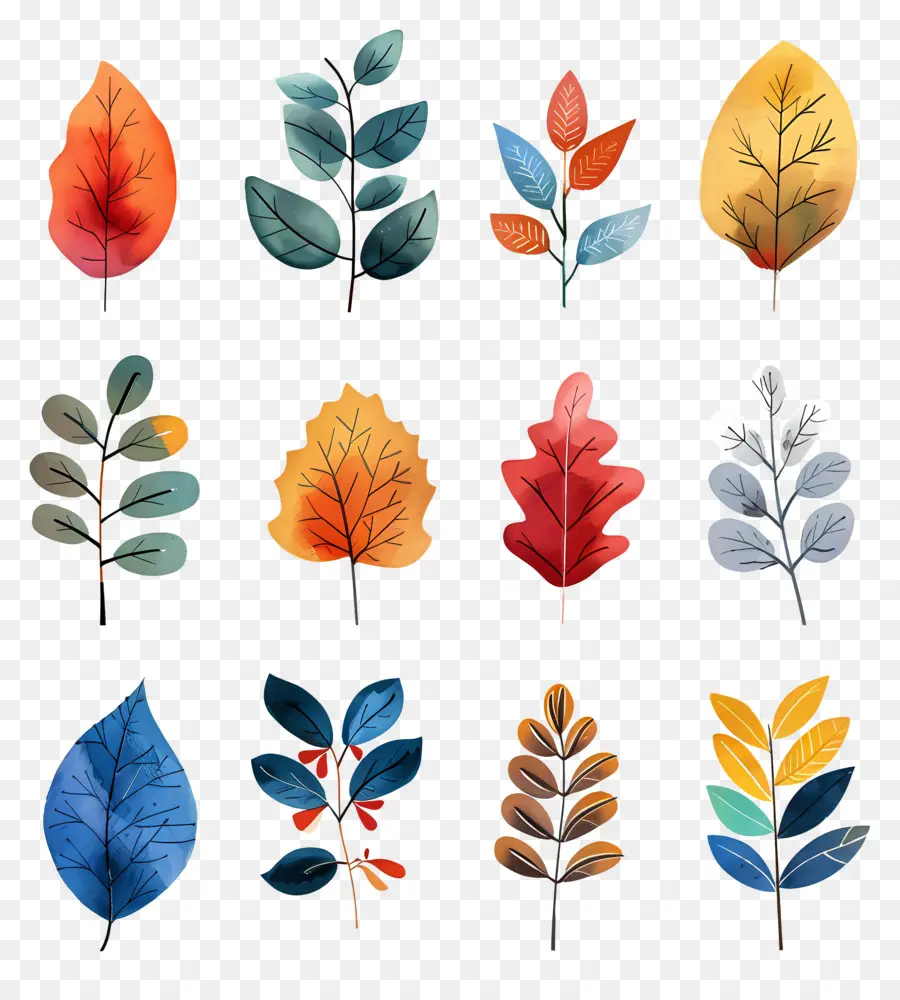 Feuille，Feuilles Colorées PNG