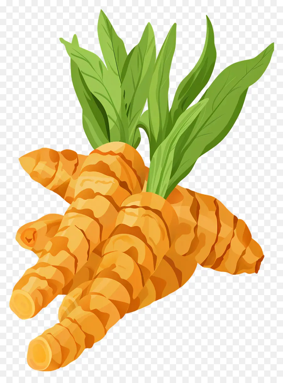 Curcuma，Gingembre PNG