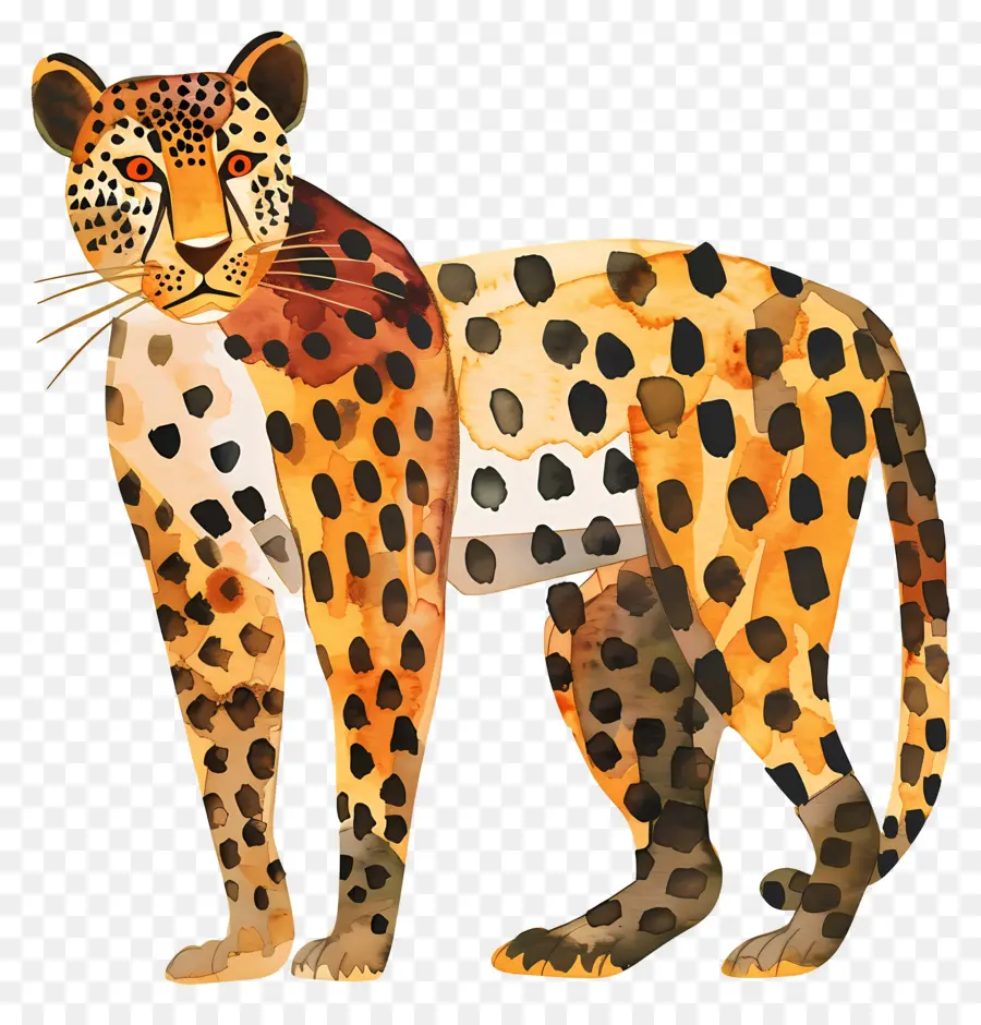 Leopard，Chat Sauvage PNG