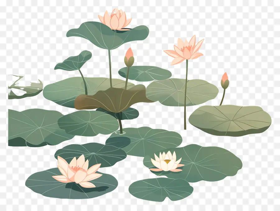 étang De Lotus，Les Nénuphars PNG