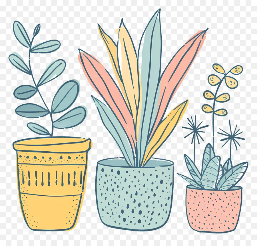 Plantes D'intérieur En Pots，Plantes En Pot PNG