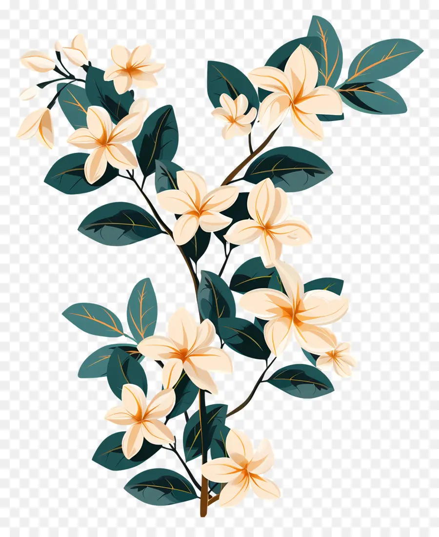 Guirlande De Jasmin，Floral De La Branche PNG