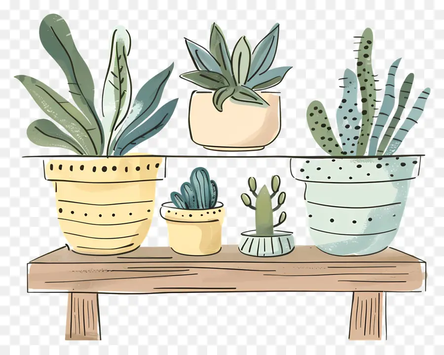 Plantes Sur L'étagère，Les Plantes En Pot PNG