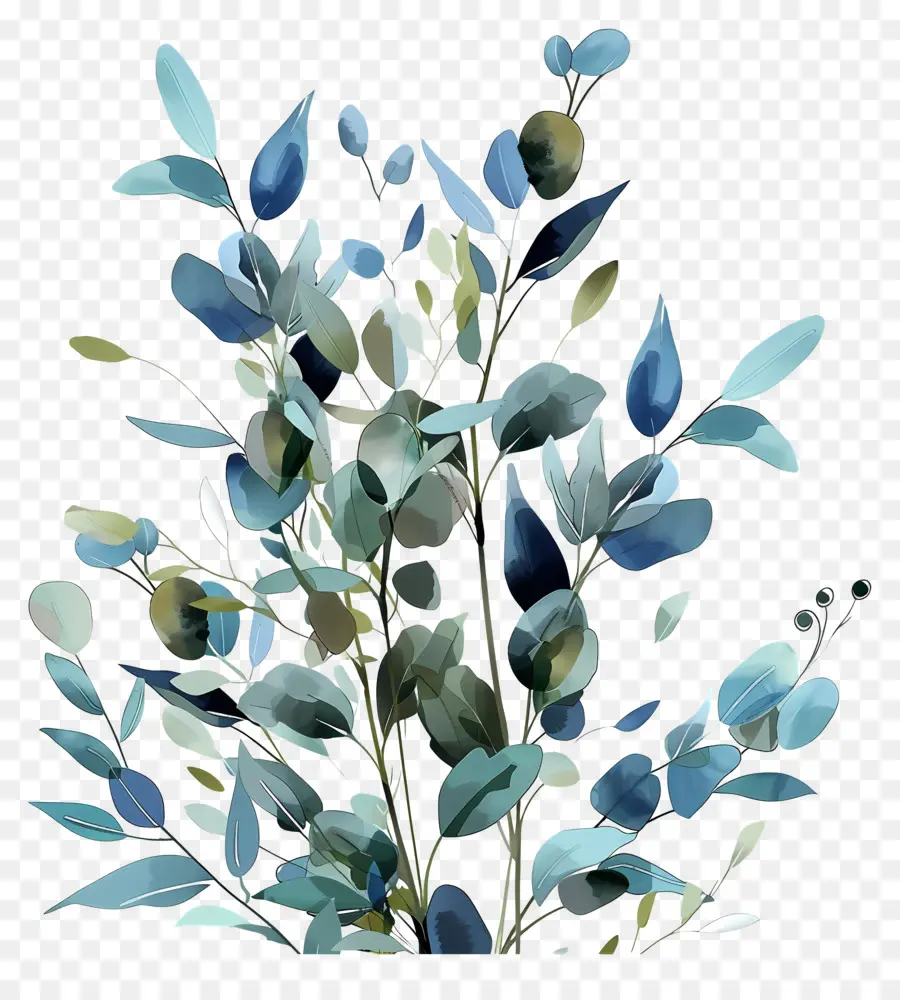 Eucalyptus，Feuilles Bleues PNG