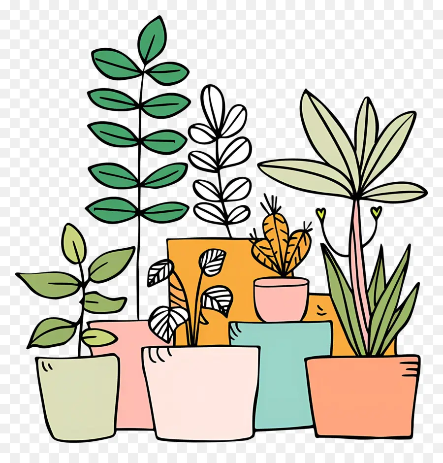 Plantes D'intérieur Dans Des Pots，Les Plantes En Pot PNG